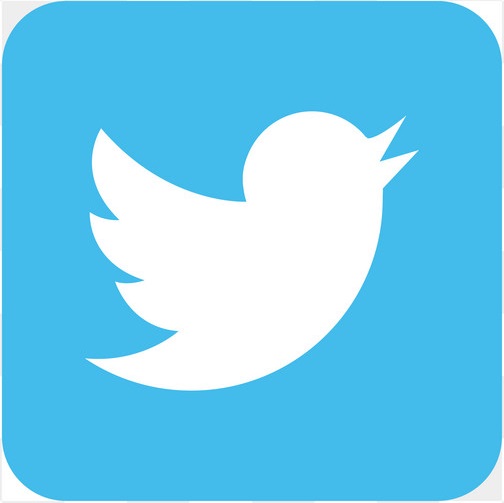 Twitter social media icon design template vector